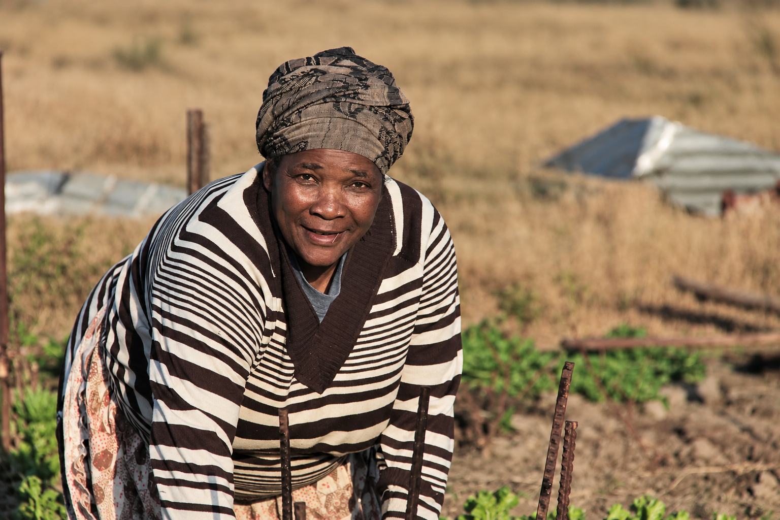 A smiling farmer tending her vegetable garden in the late afternoon sun